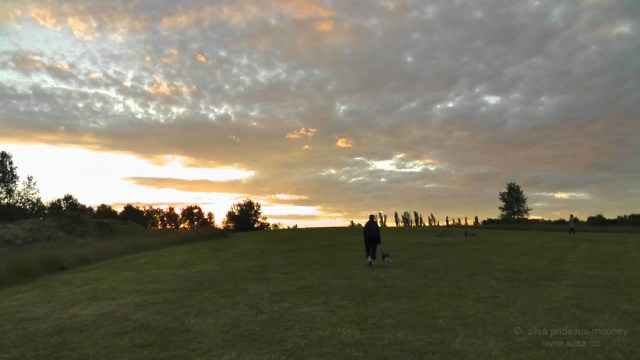 seattle, washington, magnuson park, sand point air base, fin art, fin project, kite hill, travel, travelogue, ailsa prideaux-mooney