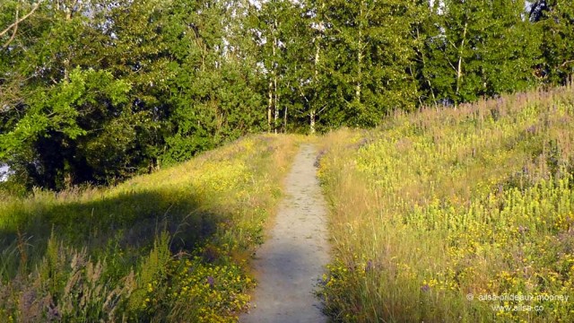 seattle, washington, magnuson park, sand point air base, fin art, fin project, kite hill, travel, travelogue, ailsa prideaux-mooney