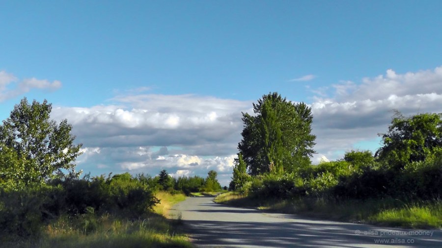 seattle, washington, magnuson park, sand point air base, fin art, fin project, kite hill, travel, travelogue, ailsa prideaux-mooney