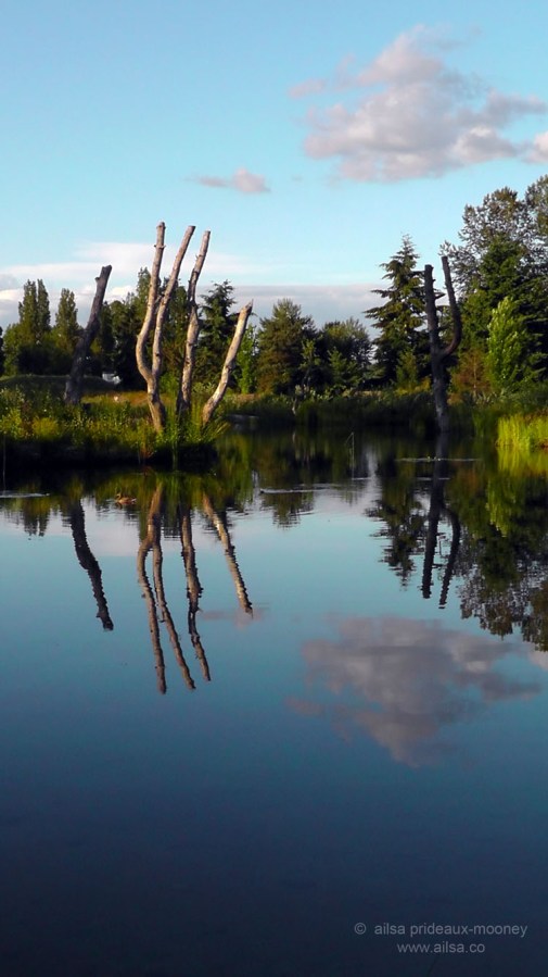 seattle, washington, magnuson park, sand point air base, fin art, fin project, kite hill, travel, travelogue, ailsa prideaux-mooney
