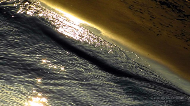 alki beach, seattle, sunset, west seattle, travel, travelogue, photography, ailsa prideaux-mooney