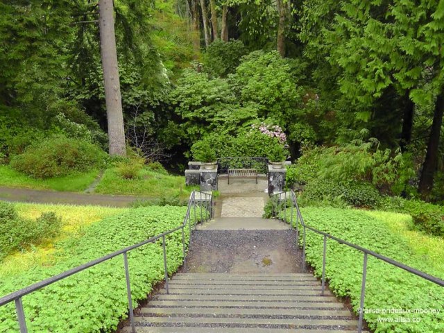 bloedel reserve, seattle, bainbridge island, garden, gardens, rain, travel, travelogue, ailsa prideaux-mooney, stairway