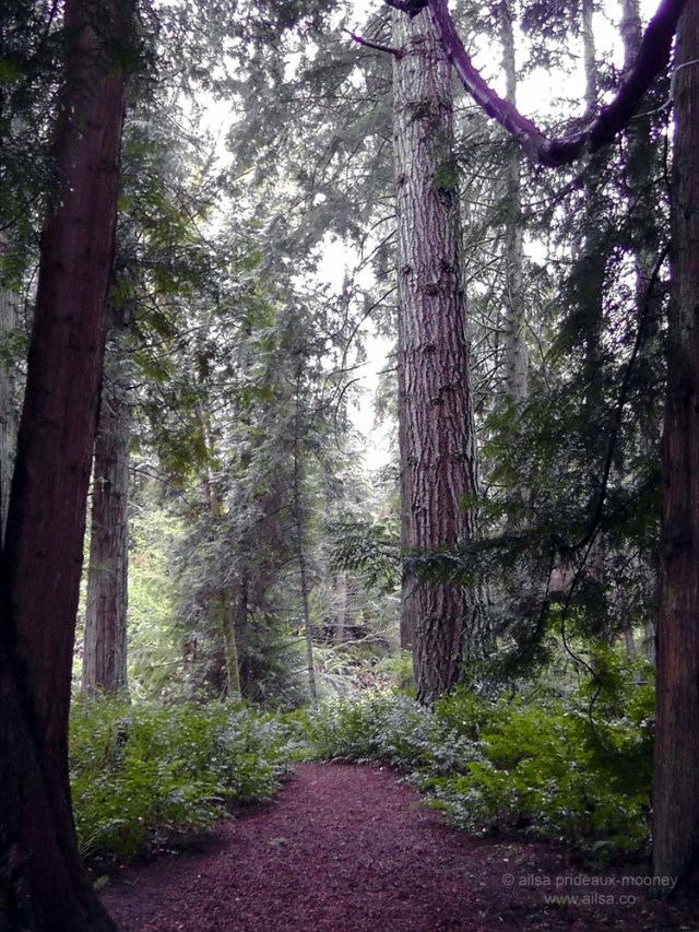 bloedel reserve, seattle, bainbridge island, garden, gardens, rain, travel, travelogue, ailsa prideaux-mooney