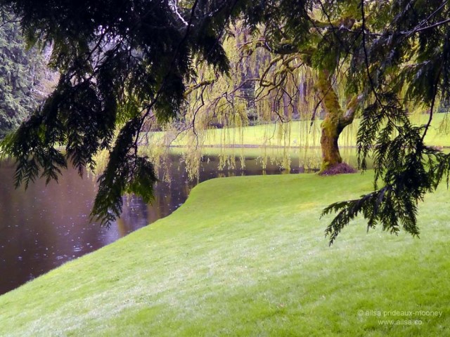 bloedel reserve, seattle, bainbridge island, garden, gardens, rain, travel, travelogue, ailsa prideaux-mooney