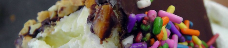 frozen cheesecake, bite of seattle, seattle center, travel, photography, food, ailsa prideaux-mooney