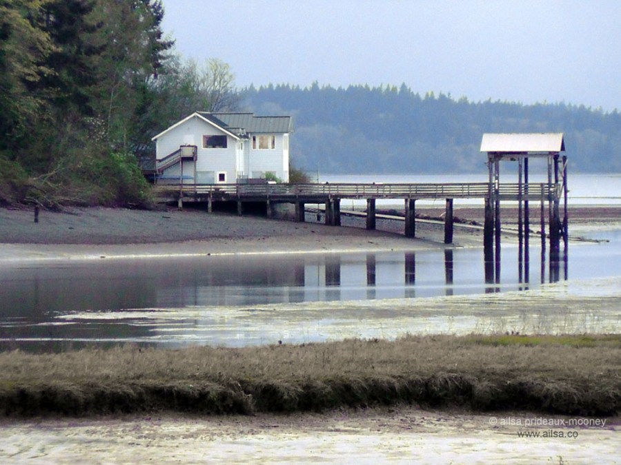 nisqually national wildlife reserve, olympia, seattle, washington, travel, photography, ailsa prideaux-mooney