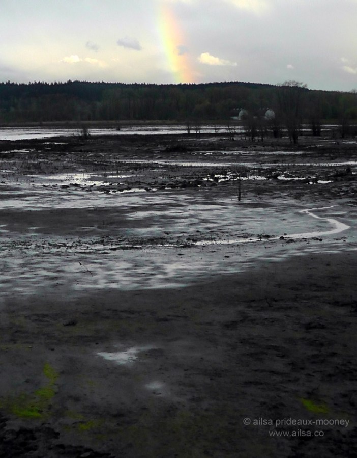 nisqually national wildlife reserve, olympia, seattle, washington, travel, photography, ailsa prideaux-mooney