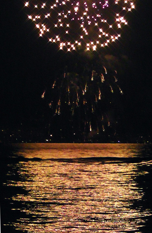4th of july, fireworks, seattle, magnuson park, travel, travelogue, ailsa prideaux-mooney