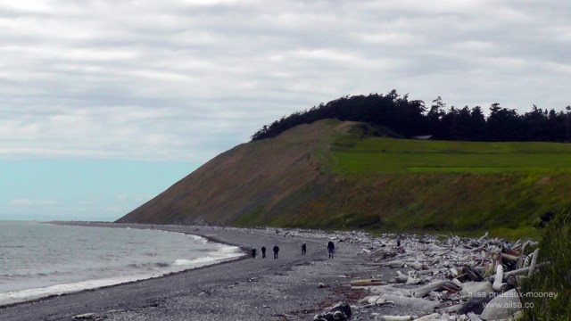 whidbey island, seattle, washington, travel, travelogue, ailsa prideaux-mooney, photography