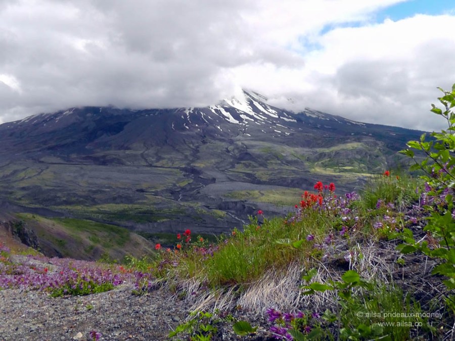 mount st helens, boundary trail, devils elbow, johnston ridge observatory, washington state, seattle, hiking, travel, travelogue, photography, ailsa prideaux-mooney
