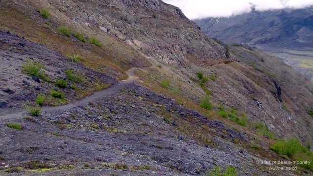 mount st helens, boundary trail, devils elbow, johnston ridge observatory, washington state, seattle, hiking, travel, travelogue, photography, ailsa prideaux-mooney