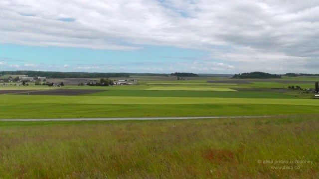 whidbey island, seattle, washington, travel, travelogue, ailsa prideaux-mooney, photography