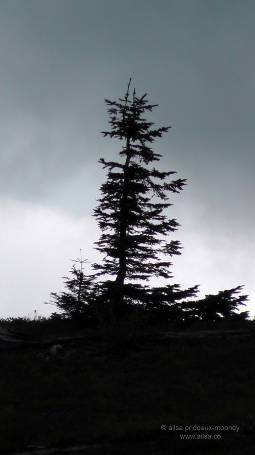 mount st helens, boundary trail, devils elbow, johnston ridge observatory, washington state, seattle, hiking, travel, travelogue, photography, ailsa prideaux-mooney