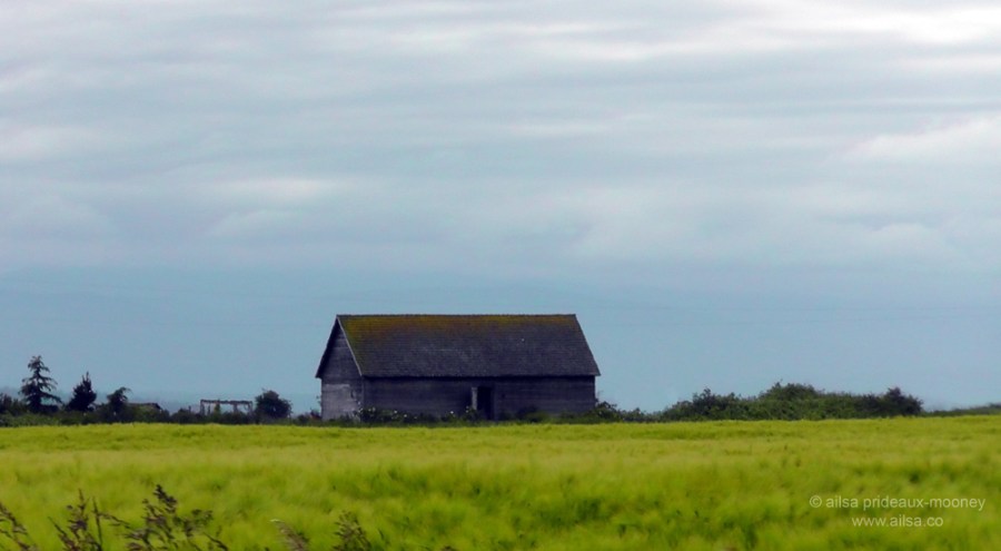 whidbey island, seattle, washington, travel, travelogue, ailsa prideaux-mooney, photography