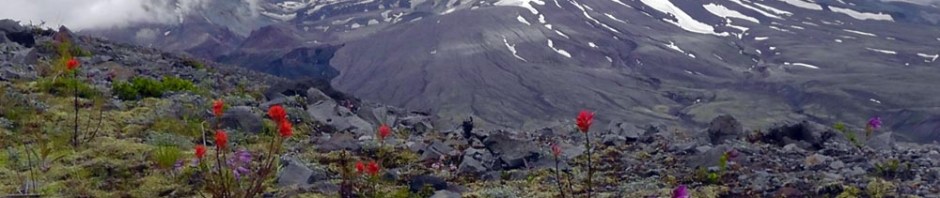 mount st helens, boundary trail, devils elbow, johnston ridge observatory, washington state, seattle, hiking, travel, travelogue, photography, ailsa prideaux-mooney