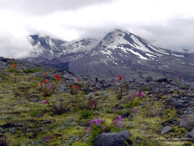 mount st helens, boundary trail, devils elbow, johnston ridge observatory, washington state, seattle, hiking, travel, travelogue, photography, ailsa prideaux-mooney