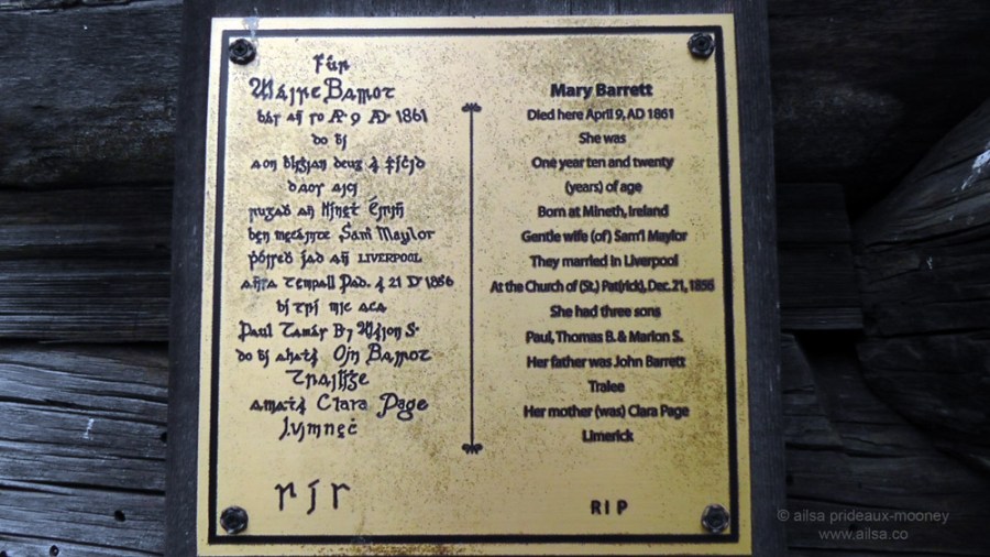 whidbey island, seattle, washington, travel, travelogue, ailsa prideaux-mooney, photography