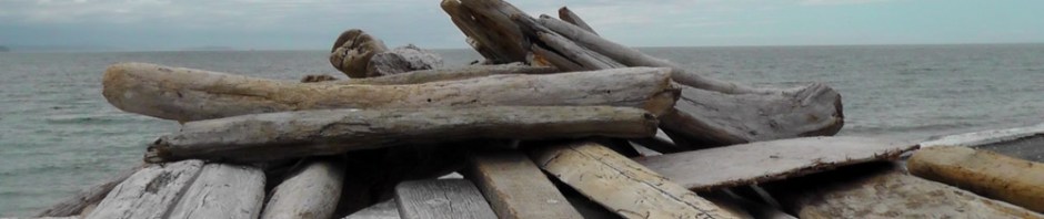 whidbey island, seattle, washington, travel, travelogue, ailsa prideaux-mooney, photography