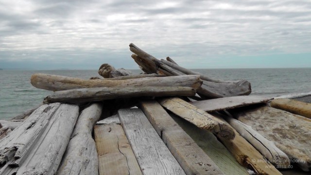 whidbey island, seattle, washington, travel, travelogue, ailsa prideaux-mooney, photography