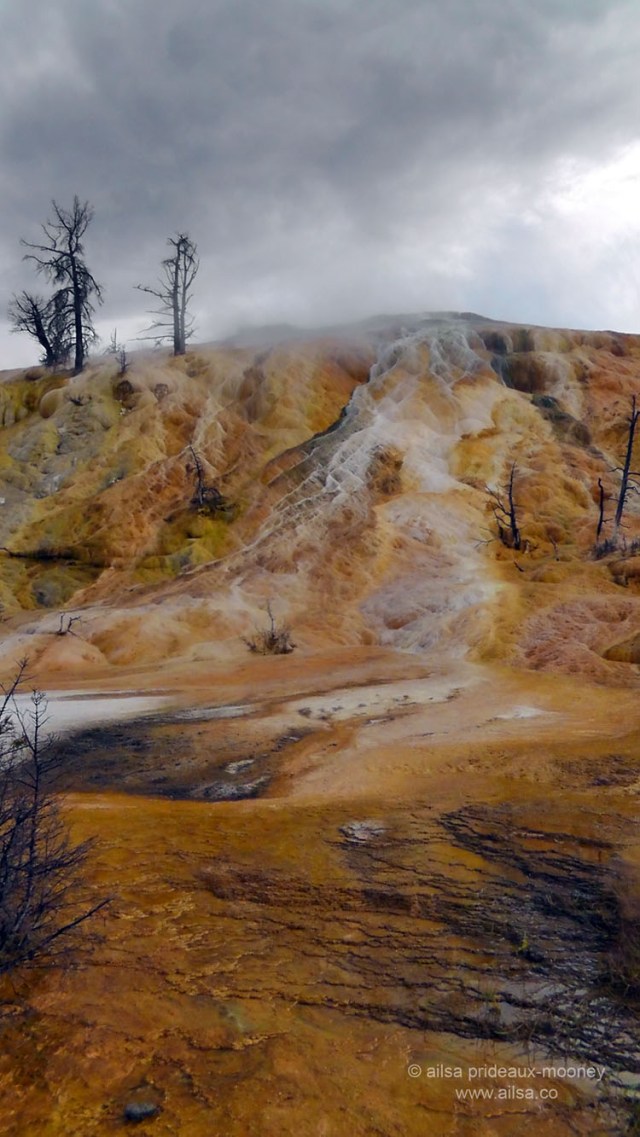 yellowstone national park, mammoth hot springs, wyoming, usa, america, road trip, travel, travelogue, photography, ailsa prideaux-mooney