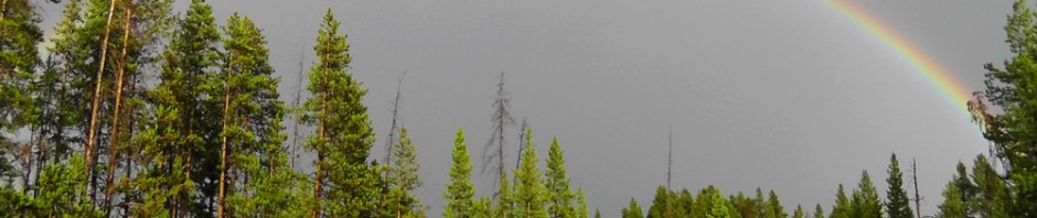 yellowstone national park, rainbow, wyoming, usa, america, road trip, travelogue, travel, photography, ailsa prideaux-mooney