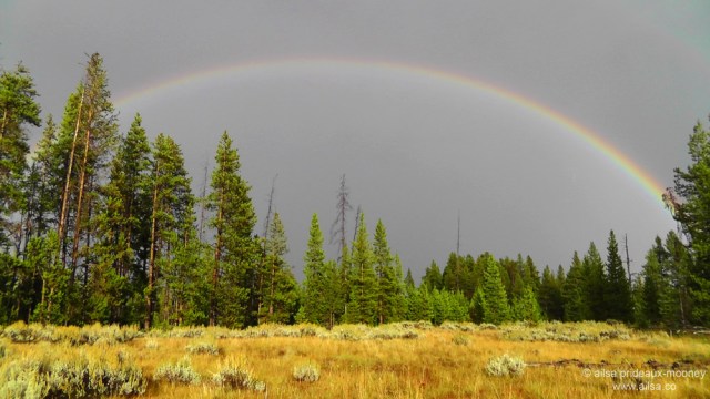 yellowstone national park, rainbow, wyoming, usa, america, road trip, travelogue, travel, photography, ailsa prideaux-mooney
