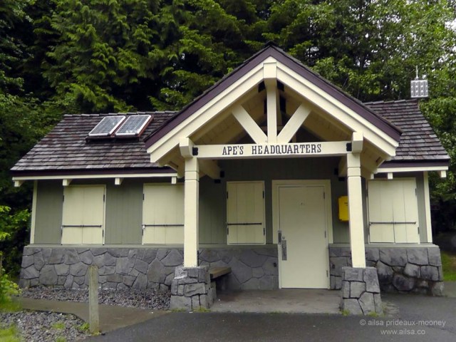 ape cave, mount st helens, washington, usa, travel, road trip, travelogue, photography, ailsa prideaux-mooney, volcano, lava tubes