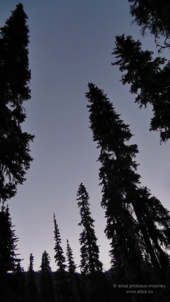 salmon le sac, washington, cougar country, travel, travelogue, photography, camping, hiking, ailsa prideaux-mooney