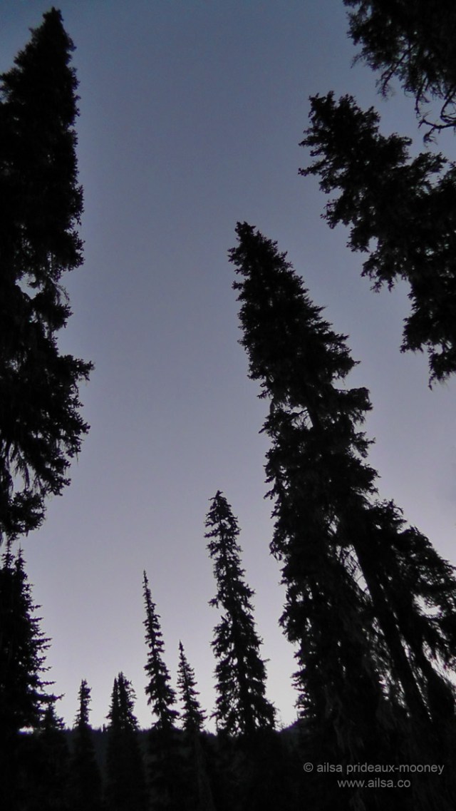 salmon le sac, washington, cougar country, travel, travelogue, photography, camping, hiking, ailsa prideaux-mooney