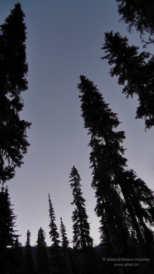 salmon le sac, washington, cougar country, travel, travelogue, photography, camping, hiking, ailsa prideaux-mooney