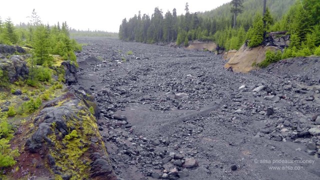 mount st helens, lava canyon, washington, hiking, travel, travelogue, photography, ailsa prideaux-mooney, lahar viewpoint