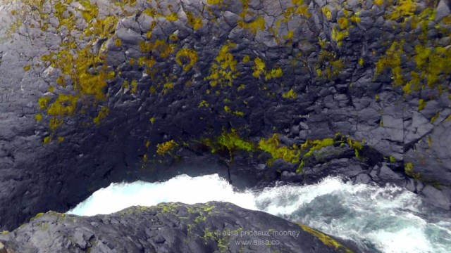 mount st helens, lava canyon, washington, hiking, travel, travelogue, photography, ailsa prideaux-mooney, gorge