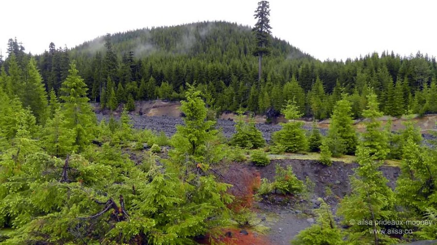 mount st helens, lava canyon, washington, hiking, travel, travelogue, photography, ailsa prideaux-mooney