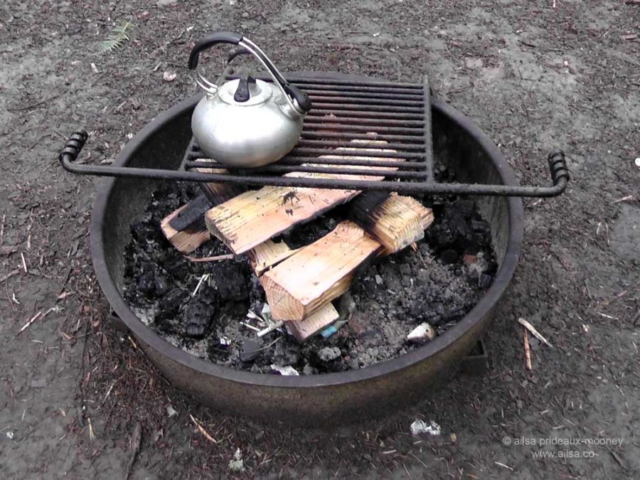 seaquest state park, mount st helens, camping, hiking, road trip, travel, travelogue, photography, ailsa prideaux-mooney