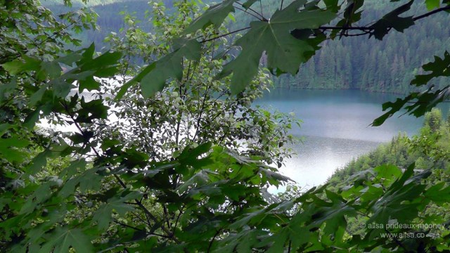 swift reservoir, mount st helens, travel, travelogue, ailsa prideaux-mooney, photography
