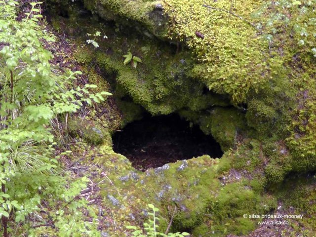 ape cave, mount st helens, washington, usa, travel, road trip, travelogue, photography, ailsa prideaux-mooney, volcano, lava tubes, trail of two forests