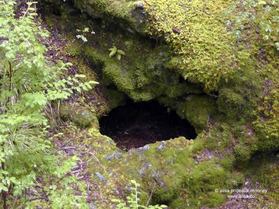 ape cave, mount st helens, washington, usa, travel, road trip, travelogue, photography, ailsa prideaux-mooney, volcano, lava tubes, trail of two forests