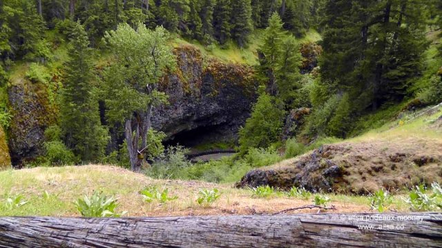 boulder cave, washington, mount rainier scenic byways loop, washington, travel, photography, travelogue, ailsa prideaux-mooney