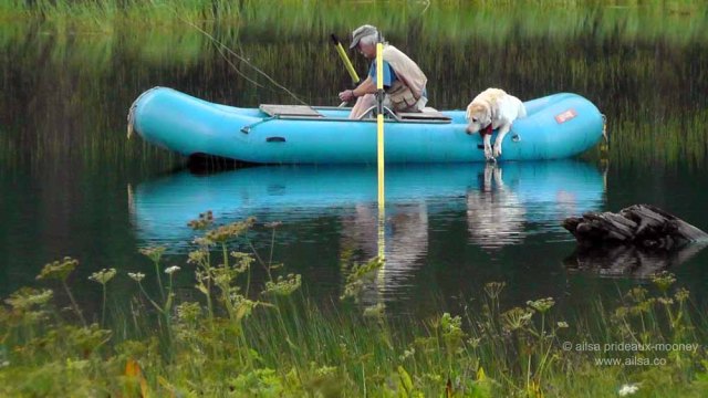 boating, man's best friend, washington, salmon le sac, travel, travelogue, photography, ailsa prideaux-mooney