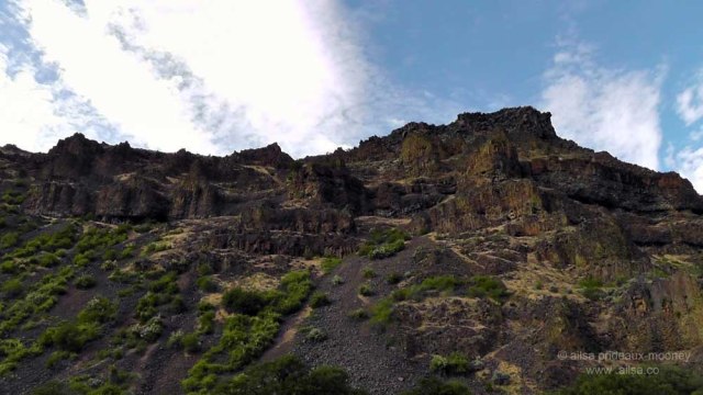 eastern washington, oak creek, sage brush steppe, travel, travelogue, photography, ailsa prideaux-mooney