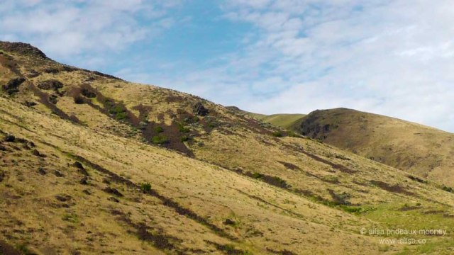 eastern washington, oak creek, sage brush steppe, travel, travelogue, photography, ailsa prideaux-mooney