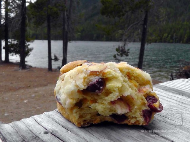 mount rainier, scenic byways loop, cascades, washington, road trip, travel, travelogue, photography, ailsa prideaux-mooney, wenatchee national forest, william o douglas wilderness, bumping lake, goose prairie