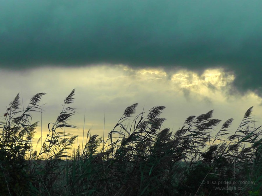 jamaica bay, new york, travel, travelogue, photography, ailsa prideaux-mooney