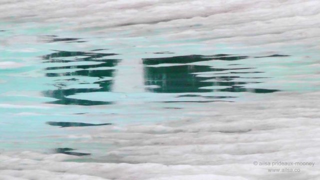 mount rainier, scenic byways loop, cascades, washington, road trip, travel, travelogue, photography, ailsa prideaux-mooney, wenatchee national forest, william o douglas wilderness, tipsoo lake, alpine