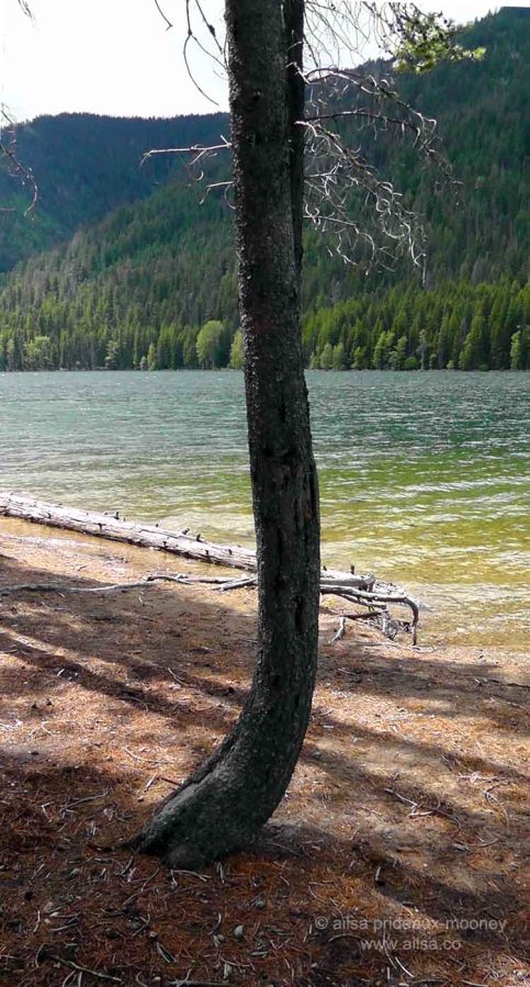 mount rainier, scenic byways loop, cascades, washington, road trip, travel, travelogue, photography, ailsa prideaux-mooney, wenatchee national forest, william o douglas wilderness, bumping lake, goose prairie