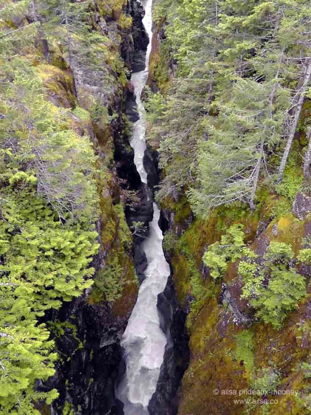 mount rainier national park, hiking, travel, photography, travelogue, ailsa prideaux-mooney, box canyon, cowlitz