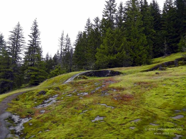 mount rainier national park, hiking, travel, photography, travelogue, ailsa prideaux-mooney, box canyon, cowlitz