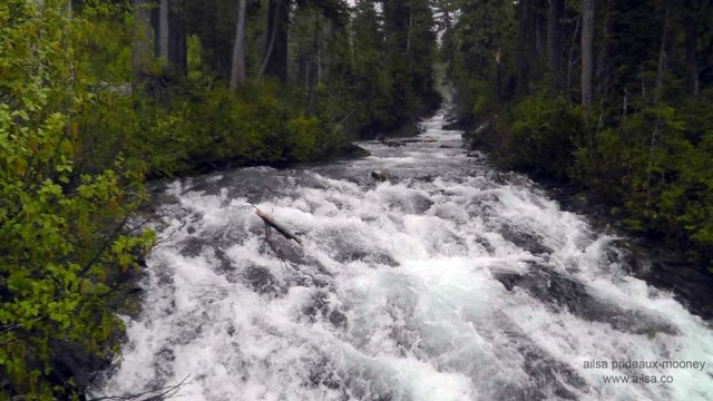 mount rainier, washington, volcano, north cascades, travel, travelogue, travel photography, ailsa prideaux-mooney, narada falls