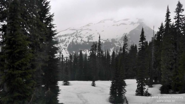 mount rainier national park, hiking, travel, photography, travelogue, ailsa prideaux-mooney, box canyon, nisqually vista trail, road trip