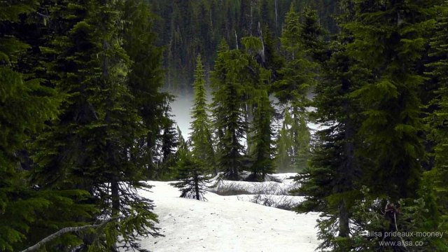 mount rainier national park, hiking, travel, photography, travelogue, ailsa prideaux-mooney, reflection lakes, road trip